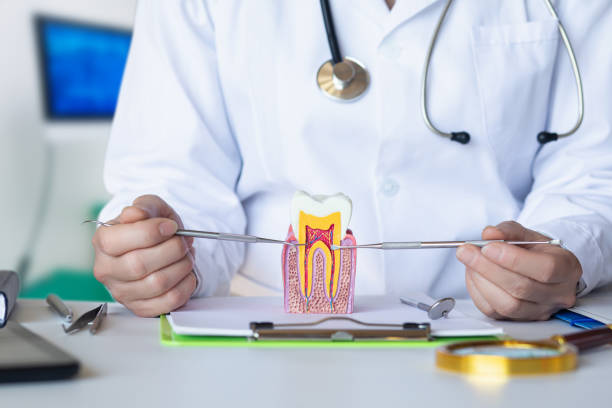 Best Emergency Broken Tooth Repair in Bowling Green, MO